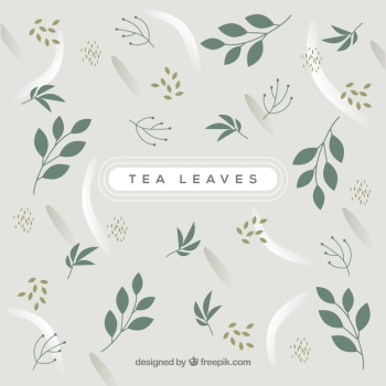 Tea leaves background Tea leaves background
