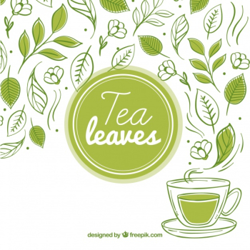 Tea leaves background with tea cup Free Vector Tea leaves background with tea cup Free Vector