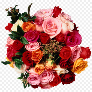 Teach Yourself Flower Arranging, New Edition Flower bouquet Floristry Rose - A bouquet of beautiful bouquet 