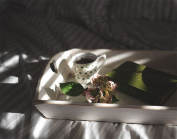 teacup beside pink flowers on tray teacup beside pink flowers on tray