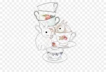 Teacup Coffee Rabbit - Teacup Bunny Teacup Coffee Rabbit - Teacup Bunny