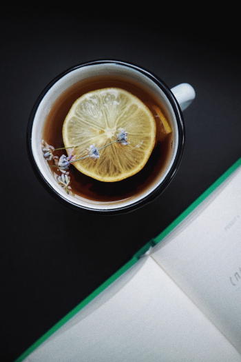 Teacup With Sliced Lemon Teacup With Sliced Lemon