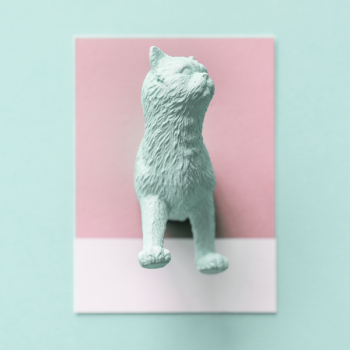 Teal Cat Figurine on White Surface Teal Cat Figurine on White Surface