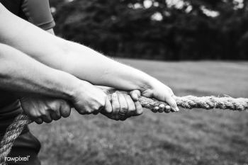 Team competing in tug of war | Free stock photo - 428085 Team competing in tug of war | Free stock photo - 428085