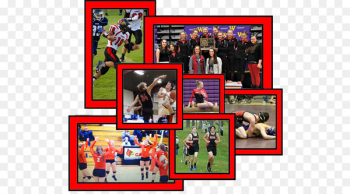 Team sport Game Sports Track & Field - Collage Sports Team sport Game Sports Track & Field - Collage Sports