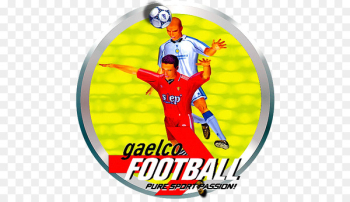 Team Sport, Sports, Team, Football, Football Player PNG Team Sport, Sports, Team, Football, Football Player PNG