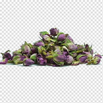 Teapot Organic food Herbal Sense Pte Ltd, purple frame transparent background PNG clipart