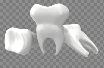 Teeth Png Image