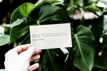 Tell me, what is it you plan to do with your one wild and precious life? Poem by Mary Oliver