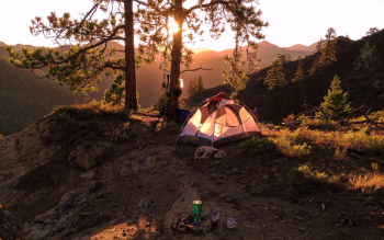 Tent Near Tree Tent Near Tree