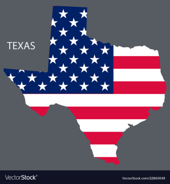 Texas state of america with map flag print on map vector image Texas state of america with map flag print on map vector image