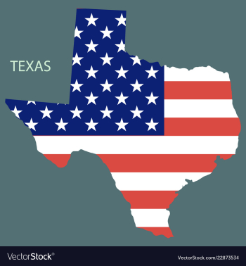 Texas state of america with map flag print on map vector image Texas state of america with map flag print on map vector image