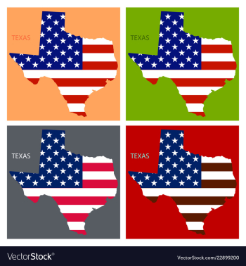 Texas state of america with map flag print on map vector image Texas state of america with map flag print on map vector image