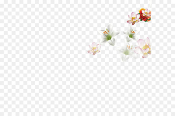 Textile Petal White Pattern - Floating Flower Textile Petal White Pattern - Floating Flower