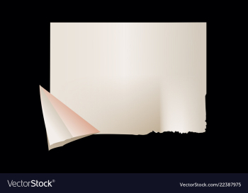 Texture of crumpled paper vector image Texture of crumpled paper vector image