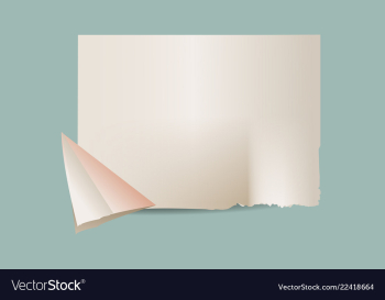 Texture of crumpled paper vector image Texture of crumpled paper vector image