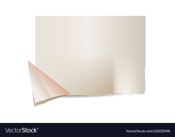 Texture of crumpled paper vector image Texture of crumpled paper vector image