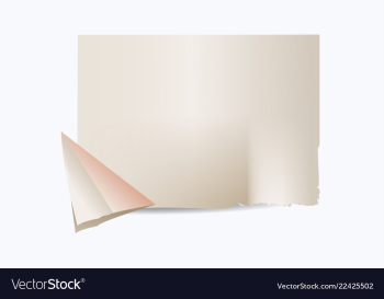 Texture of crumpled paper vector image Texture of crumpled paper vector image