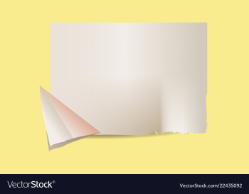 Texture of crumpled paper vector image Texture of crumpled paper vector image