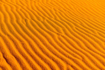 Texture of sand in Vietnam Texture of sand in Vietnam