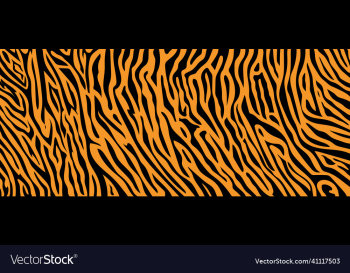 texture tiger orange stripe black background texture tiger orange stripe black background