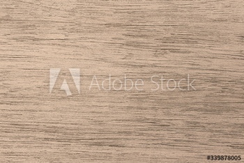 Textured wooden plank Textured wooden plank