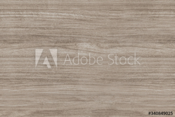 Textured wooden plank Textured wooden plank