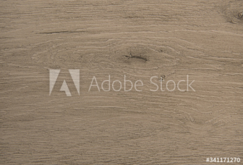 Textured wooden plank Textured wooden plank