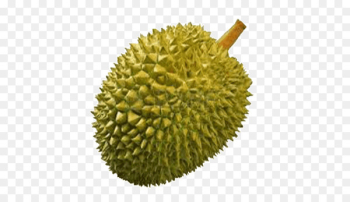 Thai cuisine Durio zibethinus Fruit Clip art - Durian Thai cuisine Durio zibethinus Fruit Clip art - Durian
