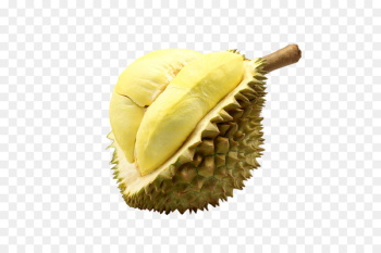 Thai cuisine Durio zibethinus Fruit Singaporean cuisine Food - Durian 