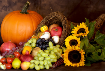 Thanksgiving Season Thanksgiving Season