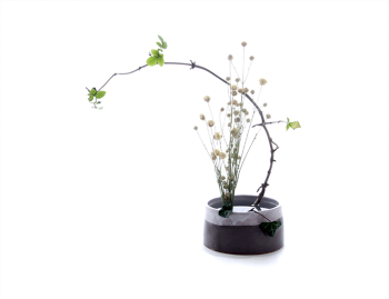 The Art Of Ikebana Flower Arranging The Art Of Ikebana Flower Arranging
