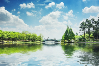 The beautiful park The beautiful park