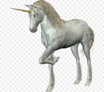 The Black Unicorn White - White Unicorn The Black Unicorn White - White Unicorn