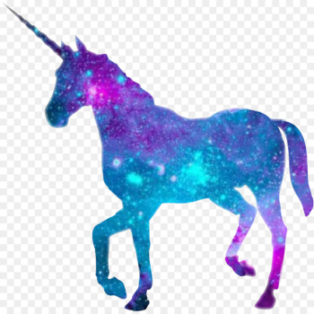 The Black Unicorn Winged unicorn Unicorn horn Desktop Wallpaper - unicorn 