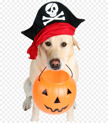 The Dog Who Saved Halloween Bad Pets: True Tales of Misbehaving Animals Bad Pets Save Christmas! - Halloween Pirate Dog 