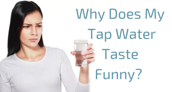 The Drinking Water Taste Guide — SimpleWater The Drinking Water Taste Guide — SimpleWater