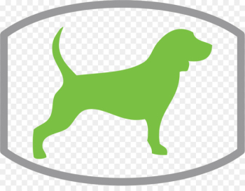 The Eco Dog Design Company Puppy Dachshund Dog training Dog walking - puppy 