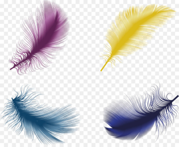 The Floating Feather Bird Euclidean vector - Color feather material 