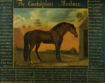The Godolphin Arabian | Free Photo - rawpixel The Godolphin Arabian | Free Photo - rawpixel