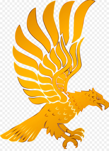The Golden Eagle Bird - Golden Eagle The Golden Eagle Bird - Golden Eagle