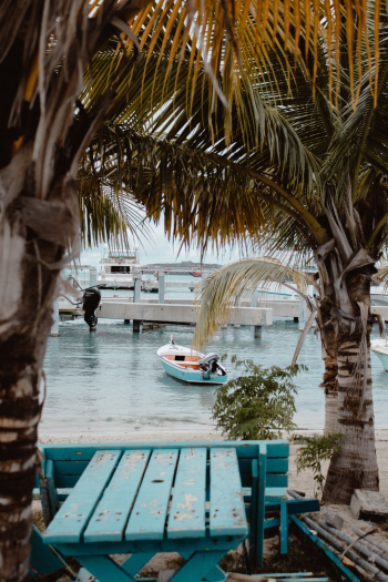 The Little Boat