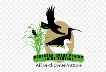 The Northern Great Plains Joint Venture Area Is Arid - Dog Catches Something The Northern Great Plains Joint Venture Area Is Arid - Dog Catches Something