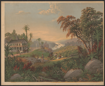 "The old plantation" | Free Photo - rawpixel "The old plantation" | Free Photo - rawpixel