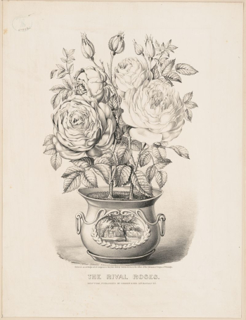 The rival roses (1873) by Currier | Free Photo - rawpixel