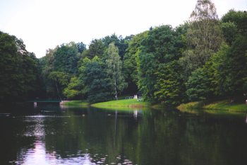 The river in the park The river in the park