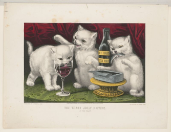 The three jolly kittens - | Free Photo - rawpixel The three jolly kittens - | Free Photo - rawpixel