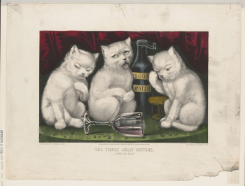 The three jolly kittens - | Free Photo - rawpixel The three jolly kittens - | Free Photo - rawpixel