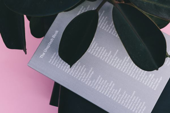 The Unsplash Book The Unsplash Book