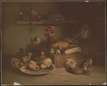 The watchful mother | Free Photo - rawpixel The watchful mother | Free Photo - rawpixel